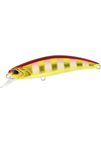 Spearhead Ryuki 60S ASA4091UV Red Gold Zebra Glow