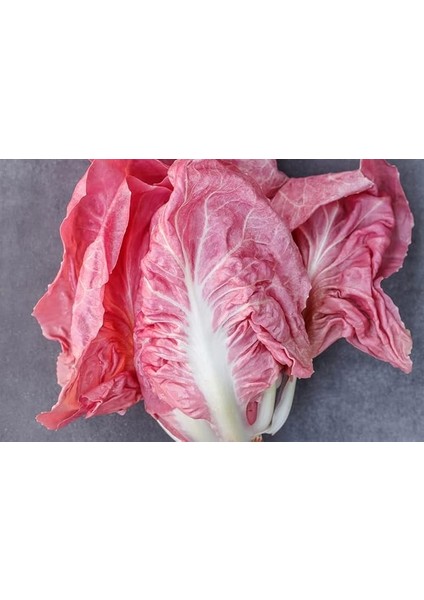 Adet Ithal Pembe Marul Tohumu