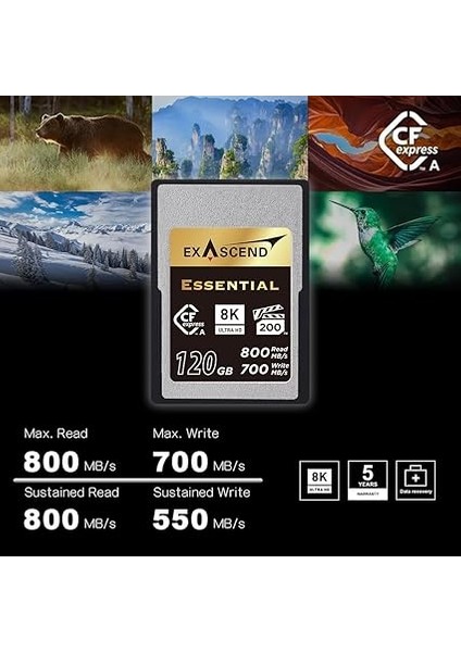 Essential 180GB Cfexpress Type A Hafıza Kartı modelleri