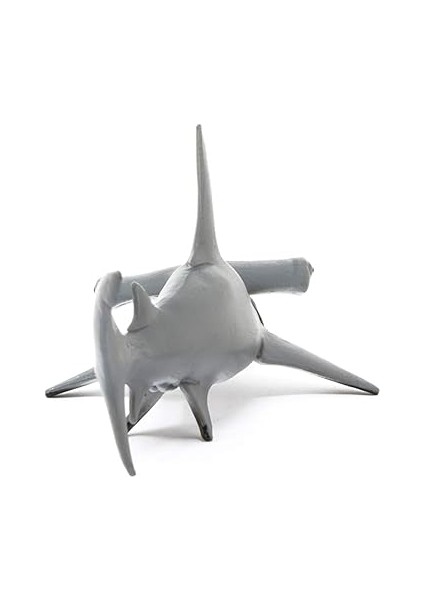 14835 Çekiçbaşlı Köpekbalığı fırsatları