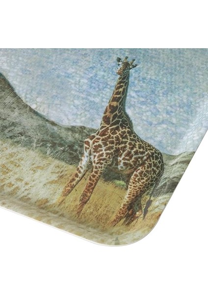 Concept Wild Kaydırmaz Tepsi 24 Cm, Giraffe fırsatları