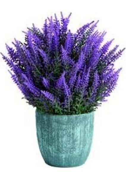 Dünyam Yerli Yediveren Lavanta/eko Paket 50 Adet Tohum fırsatları