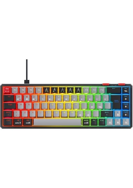 Yoru Mini Type-C Bağlantı Rgb Mekanik Gaming Oyuncu Klavyesi Red Switch Q Tr Hot Swap