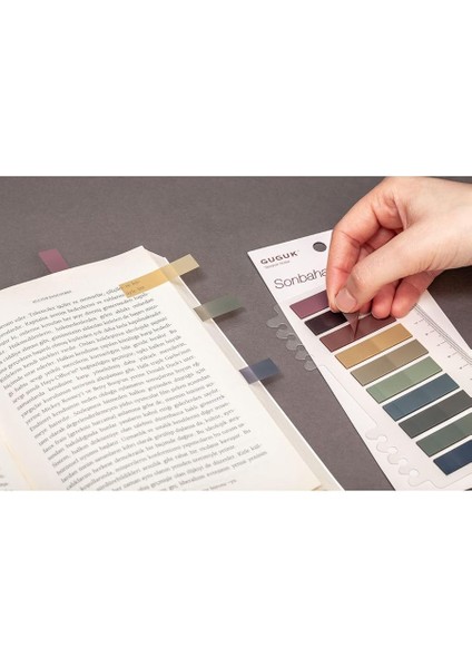 Sonbahar 10 Yarım Renkli Cetvelli Şeffaf Pet Index • Index Sticker • Post-It • Sticky Note modelleri