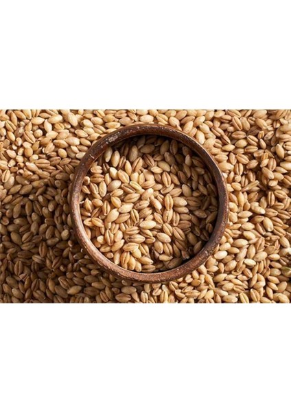 Arpa Tohumu 1 kg Doğal Arpa Tane Arpa Dane Arpa Kuş Yemi Arpa Ilaçsız Arpa fiyatları