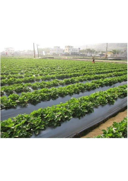 Sebze Naylonu 50 Metre Eni 120 cm Malç Naylonu Sebze Örtüsü Malç Örtüsü Siyah Domates Karpuz Naylonu fiyatları