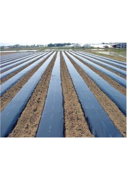 Sebze Naylonu 50 Metre Eni 120 cm Malç Naylonu Sebze Örtüsü Malç Örtüsü Siyah Domates Karpuz Naylonu modelleri