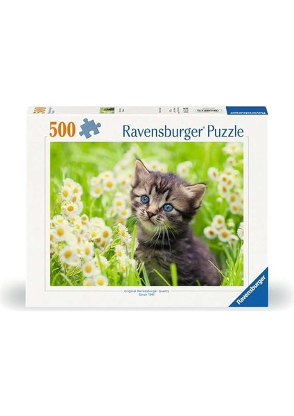 500P Puzzle Kedi Foto, Yapboz