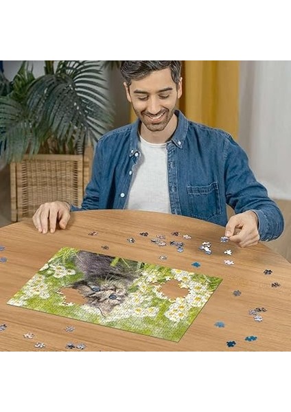 500P Puzzle Kedi Foto, Yapboz modelleri