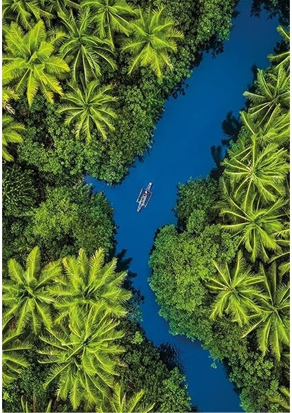 500 El. Hq Tropical Aerial View [puzzle] fiyatları