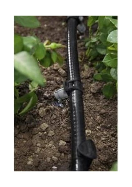 Karcher Rain Box, Sarı fırsatları