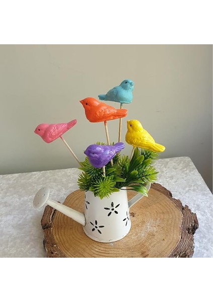 5 Li Rengarenk Kuşlu Saksı Dibi Süsü 6 * 3 Mavi,pembe,sarı,kırmızı,çok Renkli Mavi,pembe,sarı,kırmızı,çok Renkli 6 * 3