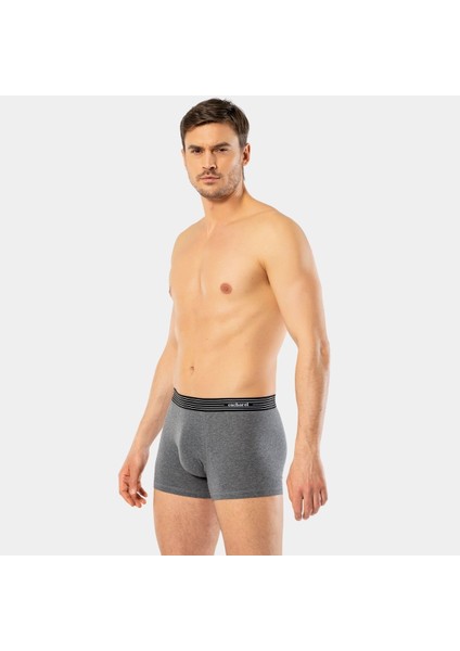 Erkek 3'lü Boxer 1320/SIYAH-ANTRASIT-GRI fırsatları