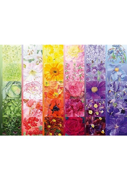 1000P Puzzle Çiçek Paleti, Yetişkin Puzzle