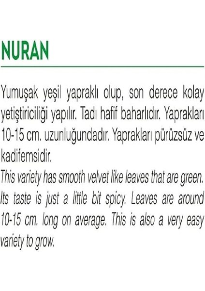 Tarım Ata Tohumu Yerli Roka Nuran 2000 Adet Tohum fiyatları