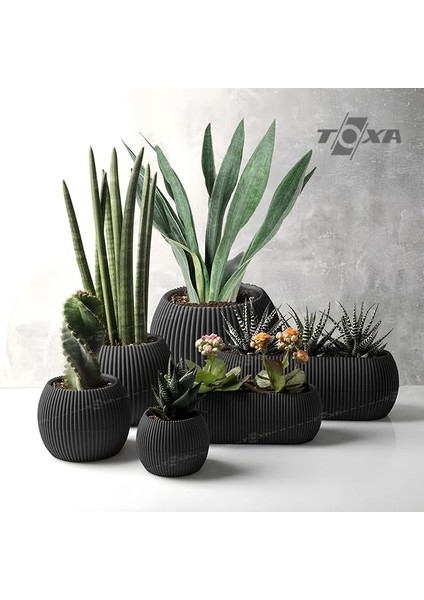 6 Parça Mercan Saksı Seti (Antrasit)