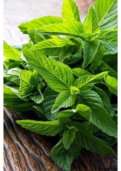 Yediveren Nane Tohumu 100 Adet Tohum indirimleri