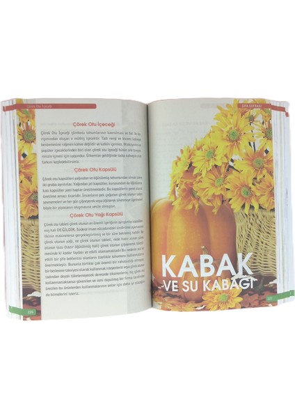 Şifa Sofrası fırsatları