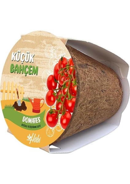 Bahçem Çeri Domates Tohumu Yetiştirme Seti