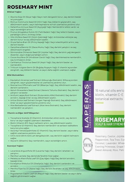 Rosemary Mint Scalp & Hair Strengtening Oil Biberiye Yağı Kompleksi Yıpranmış Dökülen Saçlar Için Hızlı Saç Uzatan Biotinli Saç Bakımı 50ML modelleri