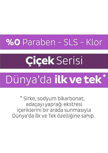 Easy Clean Orkide Bahçesi Yüzey Temizlik Havlusu&mendili 12X100 (1200 Yaprak) fırsatları