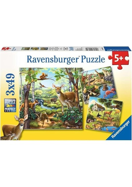 92659 Dağ Hayvanları Çocuk Puzzle, Çok Renkli, 3X49 Parça
