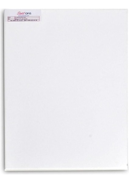 x 100 cm Kalın Şase Profesyonel Tuval