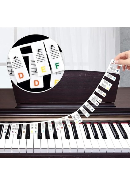 Çıkarılabilir Piyano Tuş Notları Kılavuzu: 61 Tam Boyutlu Tuş, Silikon Piyano Klavyesi Çıkartması, Saklama Kutulu, Çocuklar ve Yetişkinler, Yeni Başlayanlar, Öğrenme Için (61 Tuş)