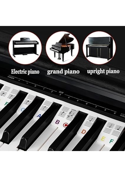 Çıkarılabilir Piyano Tuş Notları Kılavuzu: 61 Tam Boyutlu Tuş, Silikon Piyano Klavyesi Çıkartması, Saklama Kutulu, Çocuklar ve Yetişkinler, Yeni Başlayanlar, Öğrenme Için (61 Tuş) fırsatları