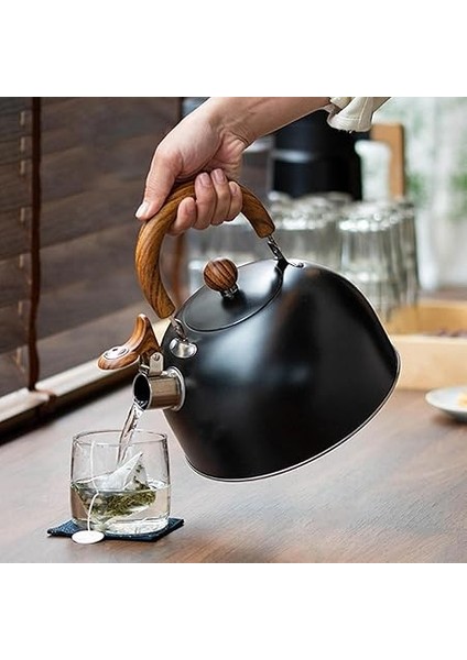 3l Düdüklü Kettle Su Isıtıcı Çaydanlık Paslanmaz Çelik Yüksek Islıklı Siyah modelleri