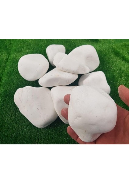 Dolomit Taş 10 kg 6-10 cm Beyaz Dolomit Taş Saksı Dibi Dekoratif Taş Bahçe Süsleme Taşı Peyzaj Taşı modelleri