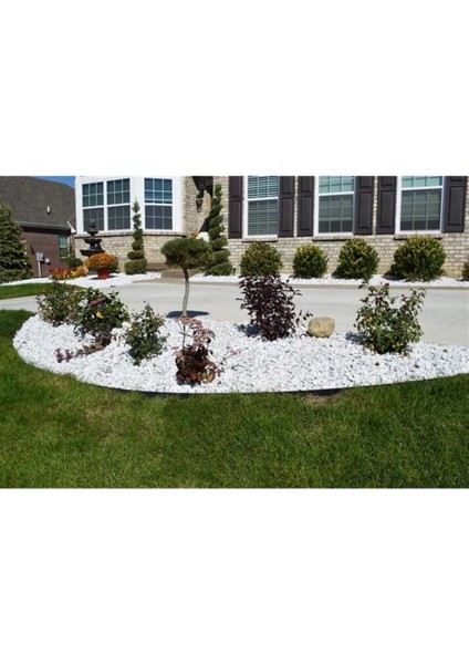 Dolomit Taş 10 kg 6-10 cm Beyaz Dolomit Taş Saksı Dibi Dekoratif Taş Bahçe Süsleme Taşı Peyzaj Taşı fırsatları