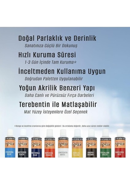 Yağlı Boya 70ML 5 Renk Yağlı Boya Başlangıç Seti modelleri