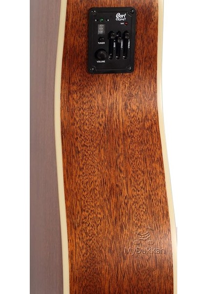 AD880CENSW Elektro Akustik Gitar Cort Kılıflı fırsatları