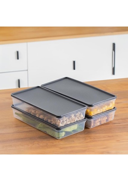 1101 4 Lü Dikdörtgen No-Frost Derin Dondurucu Çok Amaçlı Yiyecek Saklama Kabı Seti