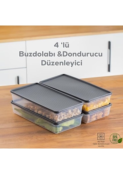 1101 4 Lü Dikdörtgen No-Frost Derin Dondurucu Çok Amaçlı Yiyecek Saklama Kabı Seti fiyatları