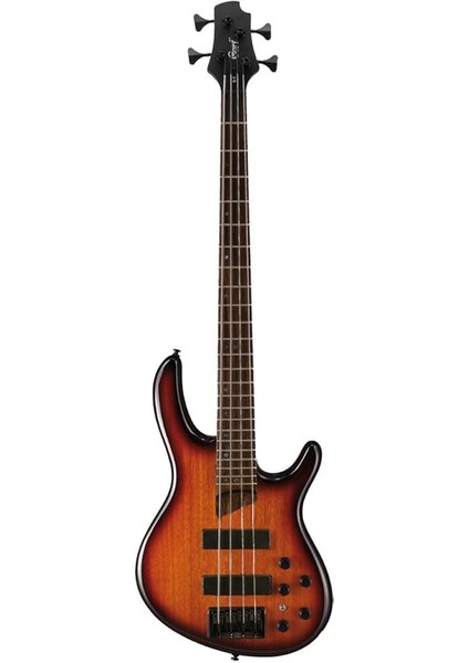 B4 Tab (Tobacco Burst) Bas Gitar