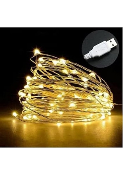 Peri LED 10 Metre USB Girişli