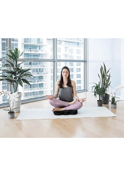 Visko Cocix Minder Oturma Minderi Basur Hemoroid Minderi Ortopedik Oturma Minderi Simidi Yastığı indirimleri