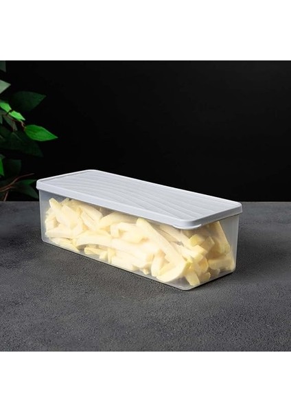 Derin Dondurucu Saklama Kabı 2 L fiyatları