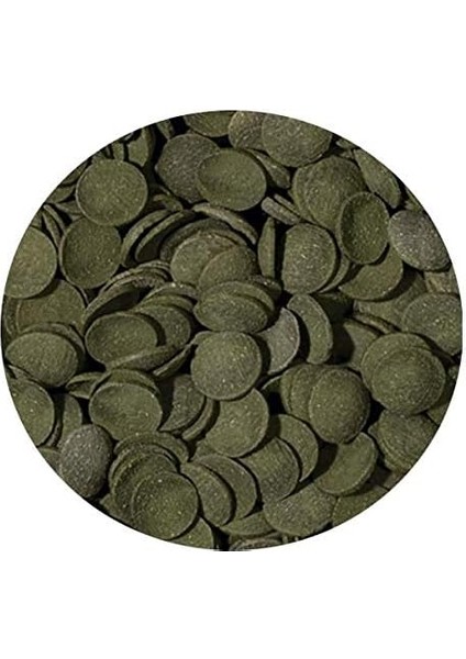 Green Algae Wafers 100GR Kovadan Bölme fiyatları