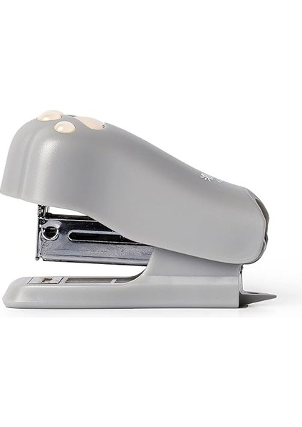 Mini Kedi Patisi fiyatları