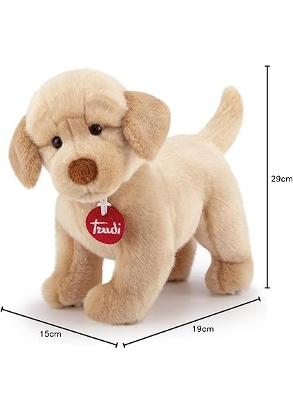 Peluş Labrador Liam modelleri