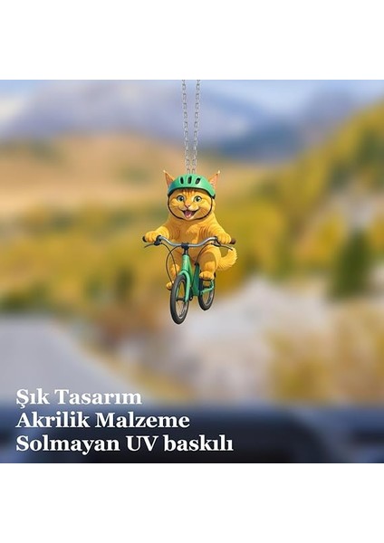 Ayna Süsü Bisikletli Kedi, Pleksi Malzeme, Uv Baskılı 003 fiyatları