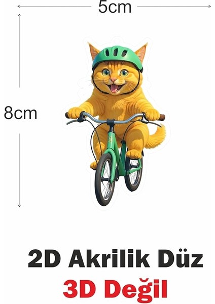 Ayna Süsü Bisikletli Kedi, Pleksi Malzeme, Uv Baskılı 003 modelleri