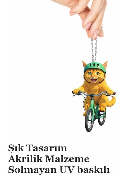 Ayna Süsü Bisikletli Kedi, Pleksi Malzeme, Uv Baskılı 003 fırsatları