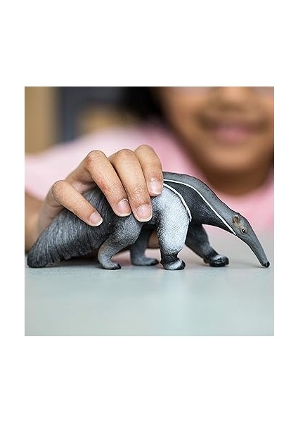 Karıncayiyen fiyatları