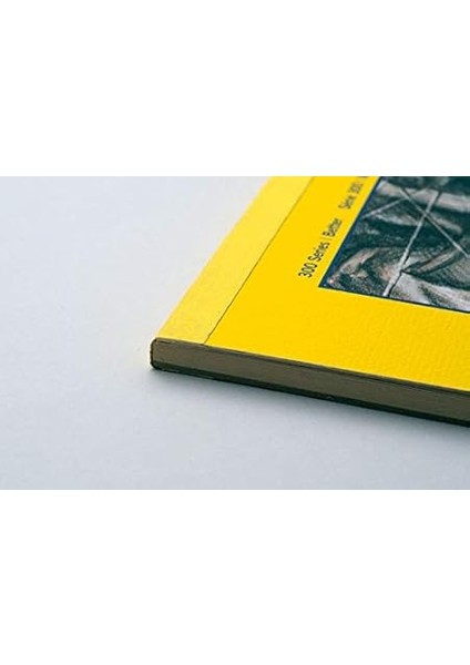 300 Serisi Bristol Pürüzsüz Kağıt Ped 27,9 x 35,6 Cm, 20 Yaprak, Kağıt, Şeffaf, 11X14 fırsatları