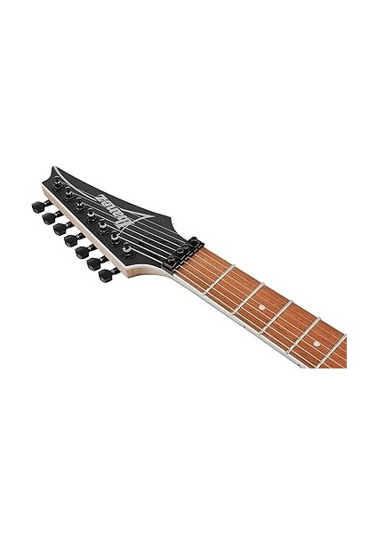 RG7420EX Bkf - Black Flat 7 Telli Elektro Gitar fırsatları