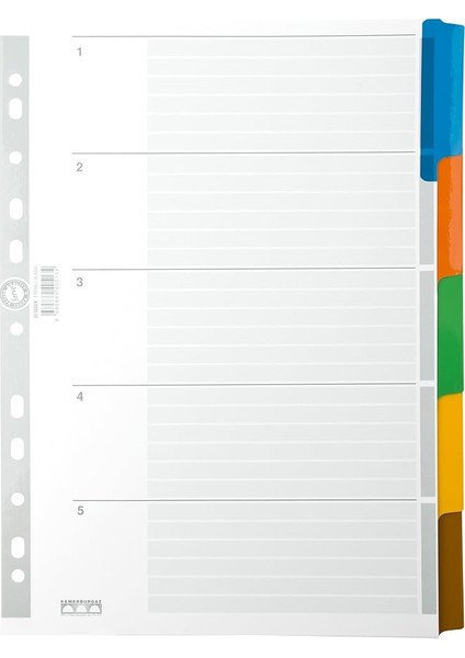 Karton Ayrac Klasik 5 Renkli A4 Renkli